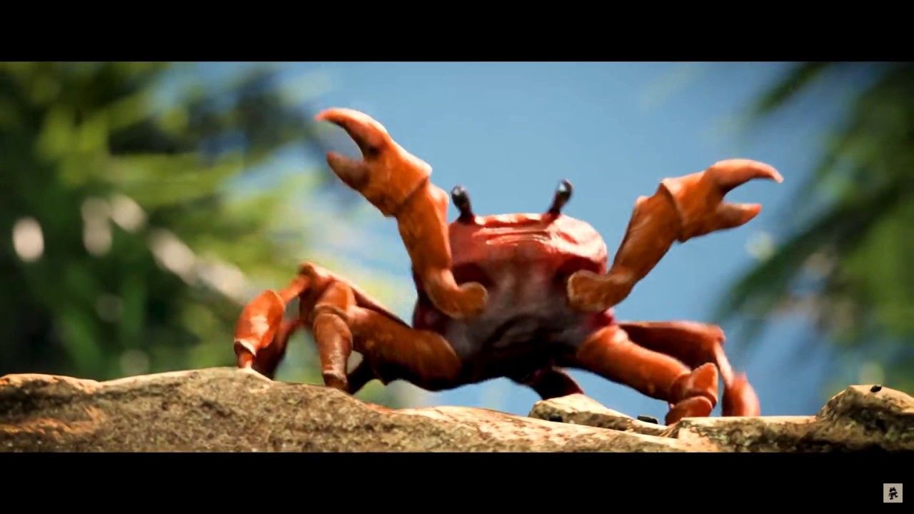 Crabs Dancing *FORTNITE DANCES* On Beach ! YouTube