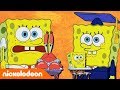 SpongeBob | Leren van Spongebob: deel 2 | Nickelodeon Nederlands