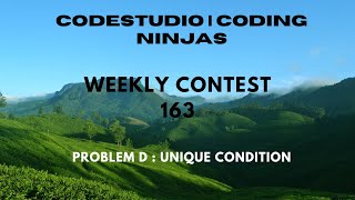 Code360 Coding Ninjas | Weekly Contest 163 | Problem D | Unique Condition | CPP & Java Codes