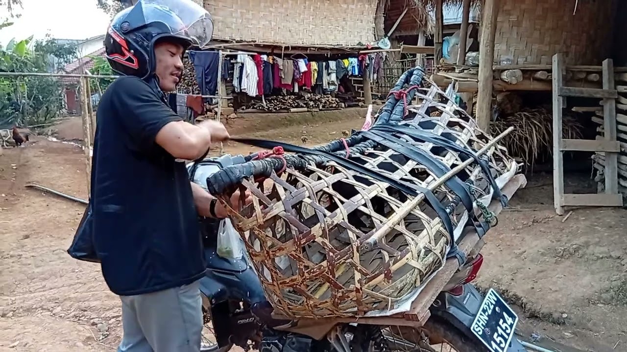 Образ жизни продавца поросят, торгующего ими в разных районах города Йонг, Мьянма.