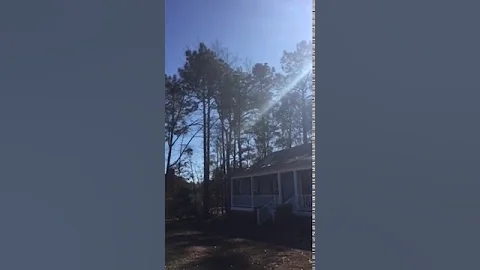 Tree the Big One January 18, 2018