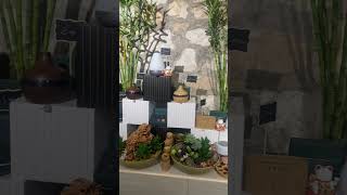 Cats waving