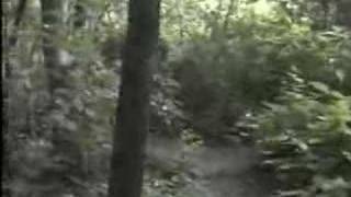 Unexplained World - Haunted Caves of Minnesota