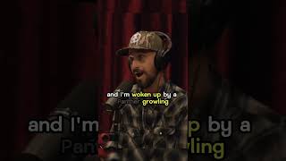 Python Cowboy talks about how he was stalked by a panther | Joe Rogan Podcast Ep. 2020