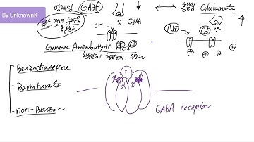 약리학 이야기: 2. GABA 수용체 작용약물_항불안제 항경련제 수면제