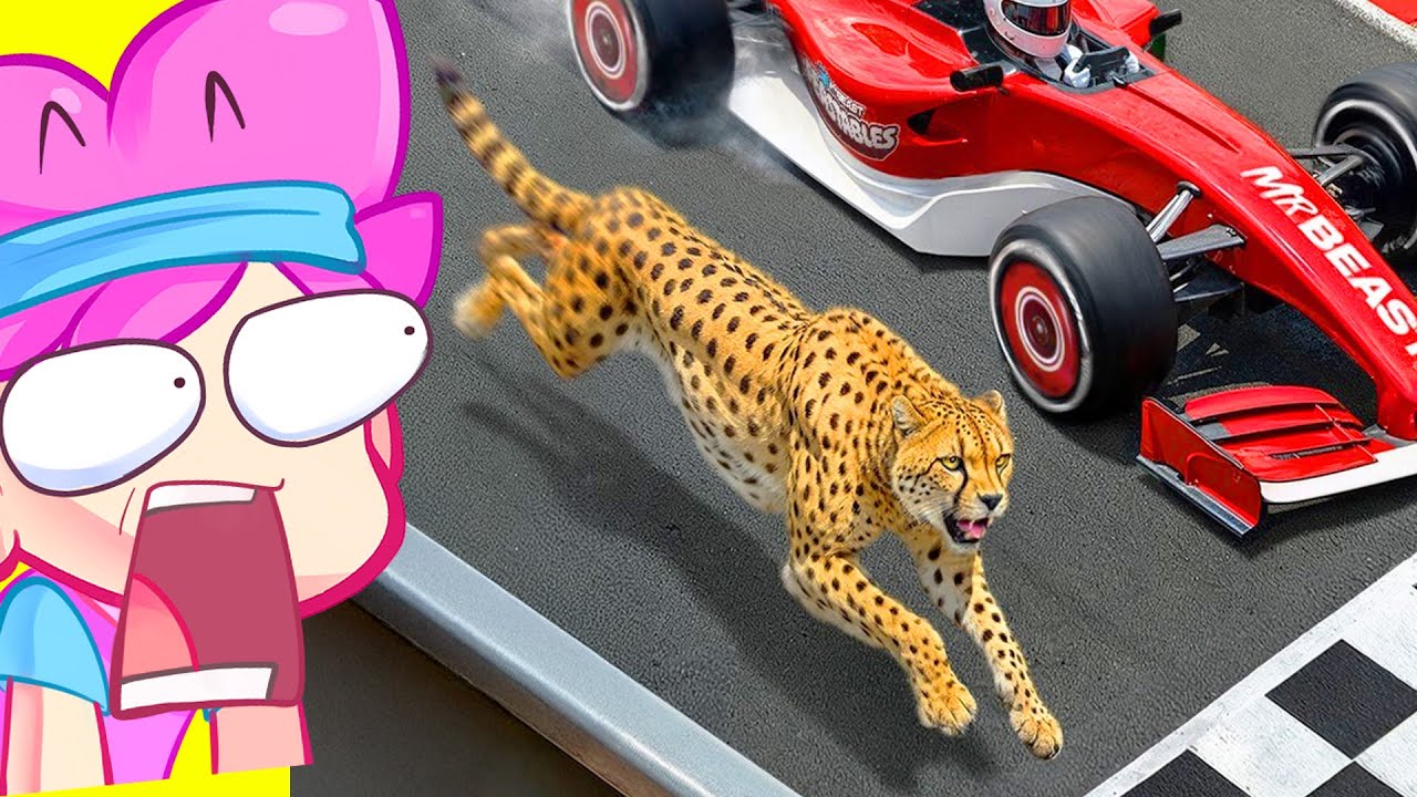 ¿Cuál es el Animal Más Rápido del Mundo? 🤔 Invictor Reacciona