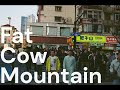 未来電波基地 - Fat Cow Mountain