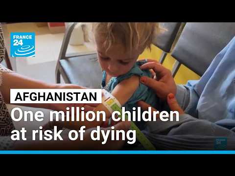 One million Afghan children suffer 'life-threatening' malnutrition • FRANCE 24 English
