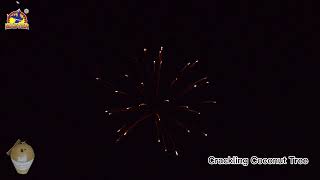 5inch Crackling Coconut Tree Display Shell Fireworks #fireworkstesting #fyp
