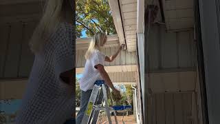 Lights For All The Holidays