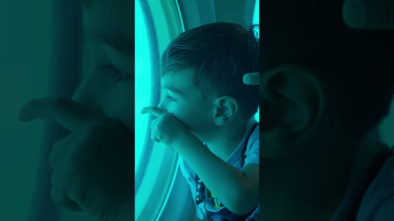 Must do tour in aruba | Submarine ride