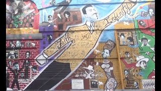 Youth Media | Before Its Gone | Short Documentary Film (2019) |