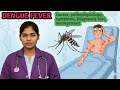 Dengue fever disease in odia||causes||pathophysiology||Symptoms||test||management||In one shot||
