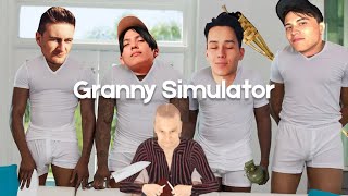 4 Idiots Play Granny Simulator screenshot 4