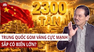 Dr. Bui Ngoc Son: China Amasses Over 2,300 Tons of Gold, Builds a Gold Capital — Is a Major Shi...