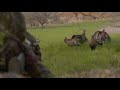 This Avian X Turkey Hunt is a Must Watch!