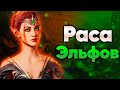 Эльфы и Полуэльфы мира Baldur's Gate 3 (D&D FR lore)