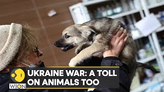 Ukraine Animal-Lover To The Rescue Woman Lives In Basement With 67 Dogs Latest News Wion