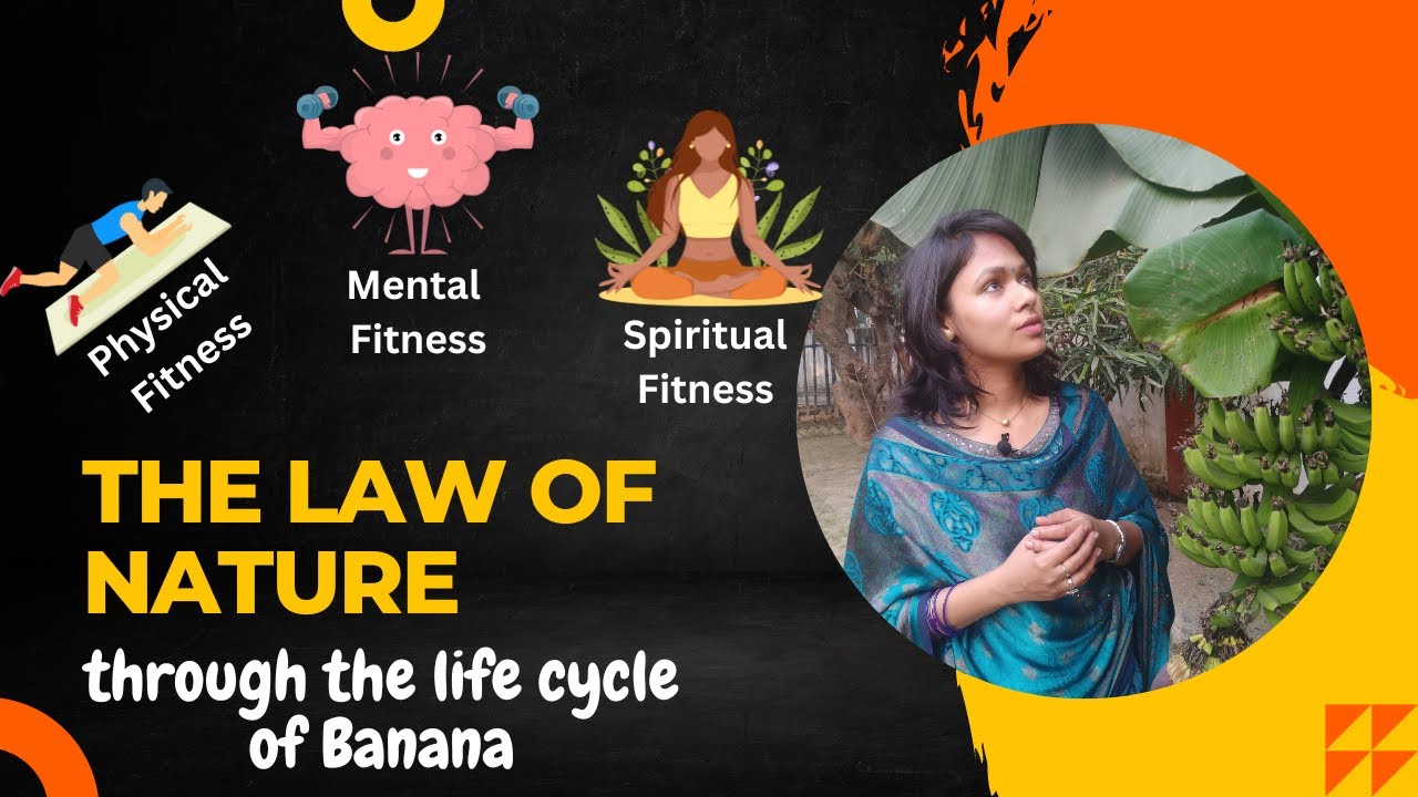 Understand The Law Of Nature Through The Life Cycle Of Banana Growth