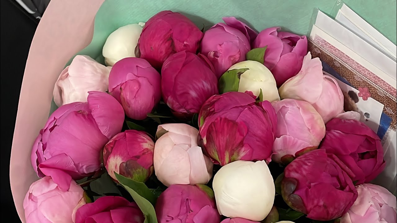 Вячеслав Лазаренко - Нежная