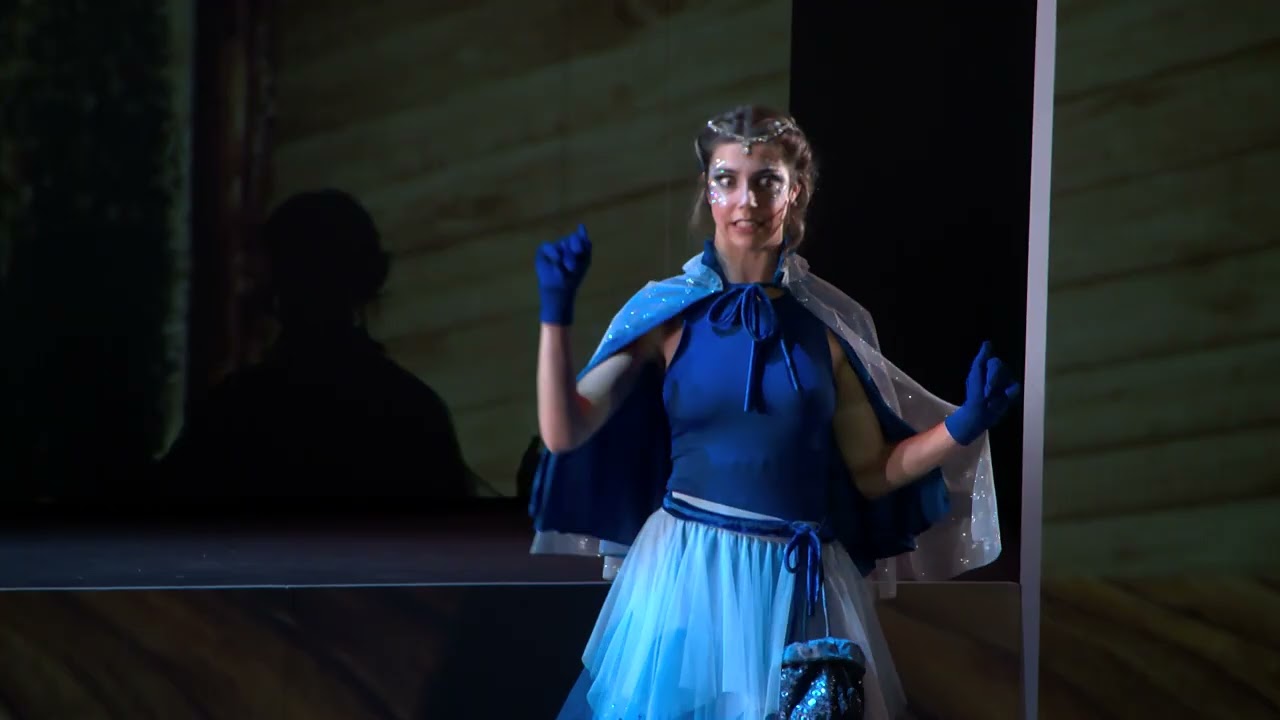 Torna l'obra Pinocchio al Teatre La Faràndula