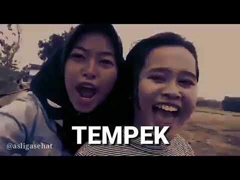 Tempek!