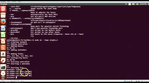 6- Mininet Topology examples