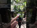 Apexel lens 18x25 bokeh zoom lens #shortvideo #photography #cinematicdark #apexellens