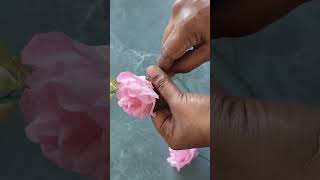 Cakes n Crusts | Cakes | Weddingsdegoa | Goa #youtubeshorts #weddingsdegoa