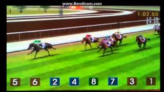 ihorse racing tutorial screenshot 1