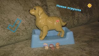 НОВАЯ ИГРУШКА, как щенки появляются на свет, рождение щенков НОВАЯ ИГРУШКА, как щенки появляются на свет, рождение щенков
