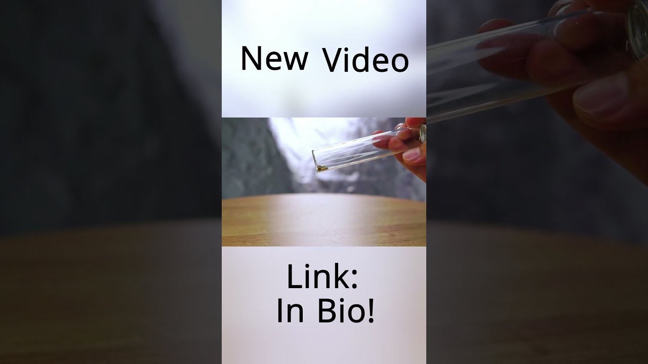 Hanging and Drying Plants for Curing and Storage