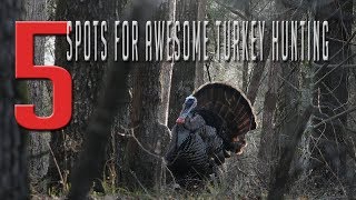 TURKEY HUNTING TIPS! | The Best Turkey Hunting Locations!