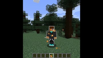 How To Shine On Minecraft