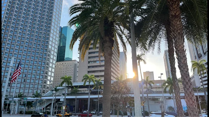 Miami LIVE Exploring Tuesday Night