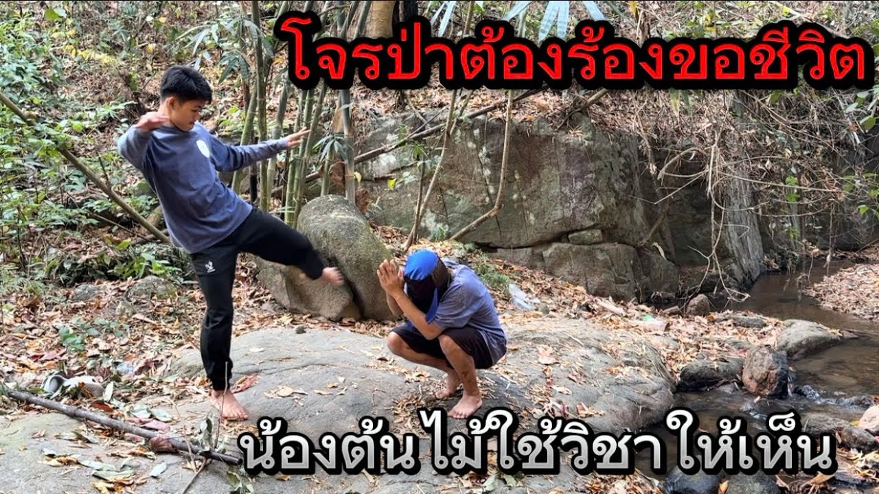 โจรป่าต้องร้องขอชีวิตจากน้องต้นไม้ ￼￼ ผมไม่คิดว่าน้องต้นไม้จะใช้วิธีนี้กับโจรป่าคนนี้!! ตกใจมากๆ!!￼