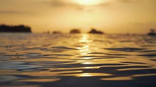 Nature at its best - Chapter 2
