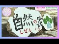 五感を使って自然と触れ合おう！開設50周年倉敷市自然の家 ｜月刊くらしき情報局（2026年4月17日放送）