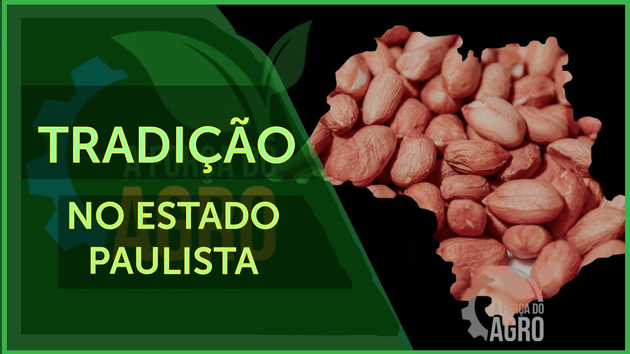 São Paulo concentra mais de 93% da produção nacional de amendoim