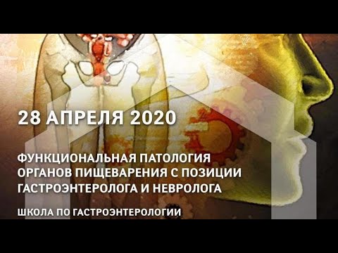 Конференция. Функциональная патология органов пищеварения с позиции гастроэнтеролога и невролога.