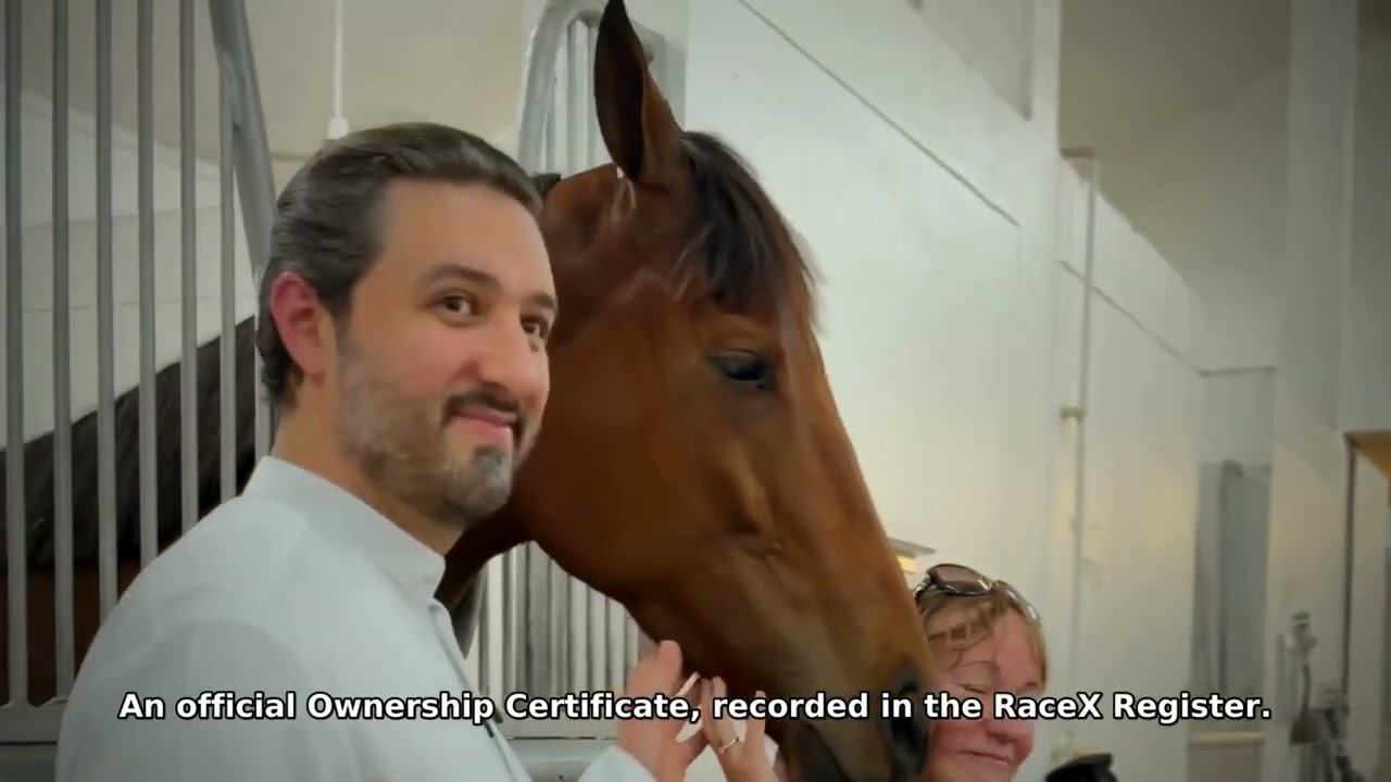 How racehorse ownership works in Dubai with RaceX at Meydan