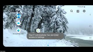 Workspace ONE Launcher with Update Settings enabled screenshot 3