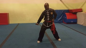 Fighting Application Praying Mantis Kung Fu Vid 6 Sifu Bryan Barnes