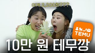 테무 너 좀 친다? (ft.이수빈)