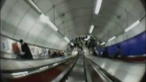 Bam Margera - Adio One Step Beyond - Skateboarding