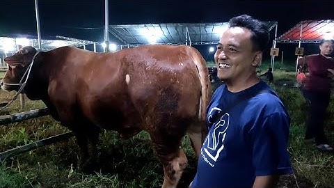 Kandang Pedalaman Merapat Di Kontes APPSI Jember 2022 || Jember Sport Garden