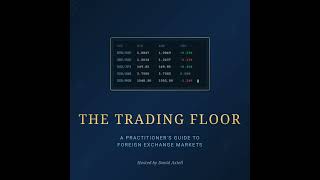 The Python Toolkit: Pricing FX Cash Markets Properly Net Worth