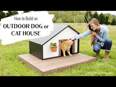 فيديو: هل يمكنني بناء بيت الكلب من الخشب المعالج؟