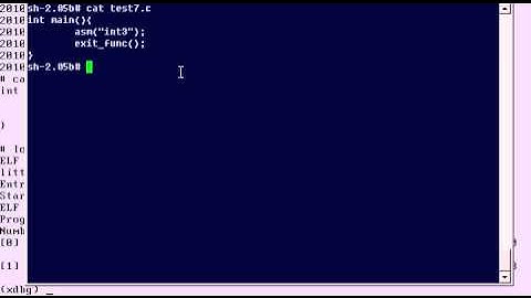 [2010-06-25] ELF format 구현 영상