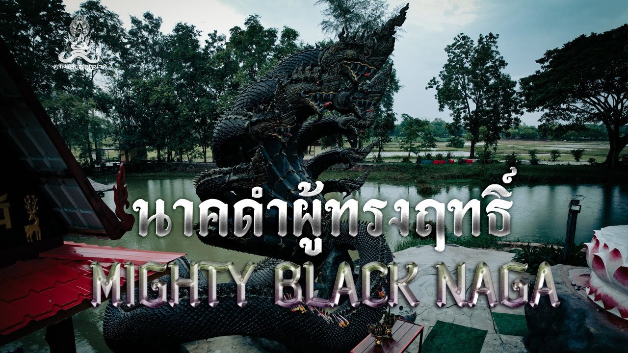 ตามรอยพญานาค EP.33 นาคดำผู้ทรงฤทธิ์  MIGHTY BLACK NAGA (องค์ดำแสนศิริจันทรานาคราช วัดศรีสว่างอารมณ์